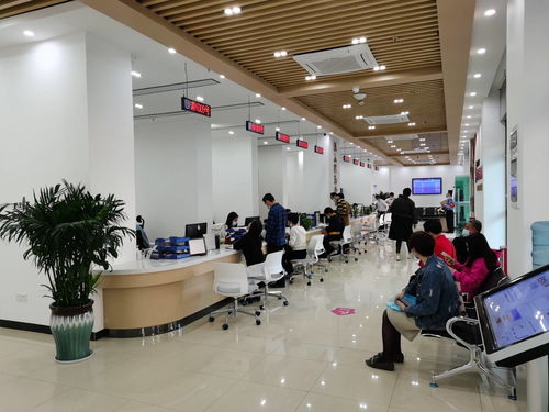 花城街政务服务中心新址开放，母婴室与残疾人通道全面升级